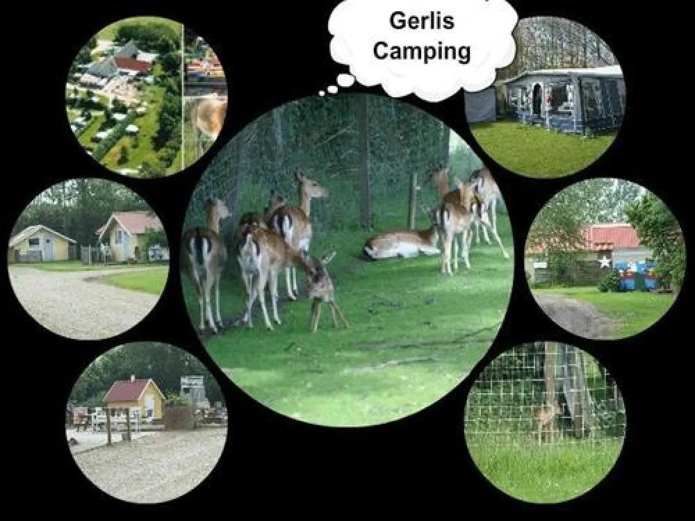 Gerlis Camping