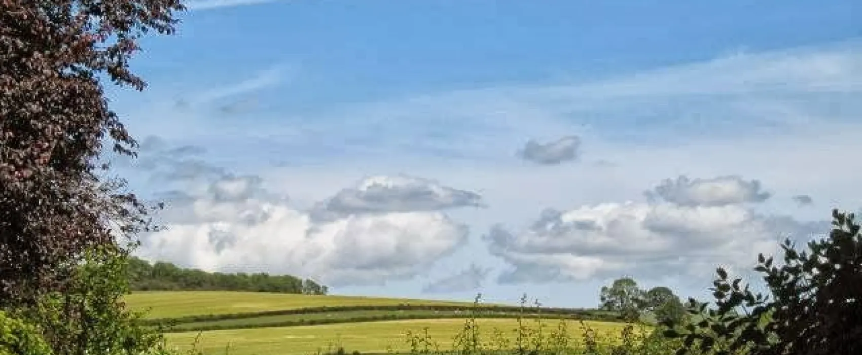 Wayside Caravan Park