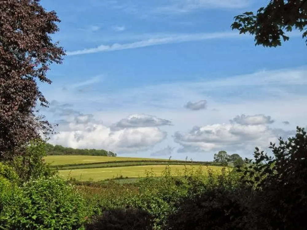 Wayside Caravan Park