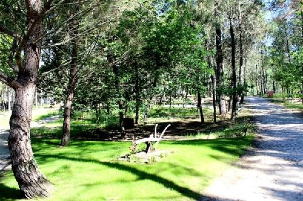 Camping site Lima Escape (Entre-ambos-os-rios)