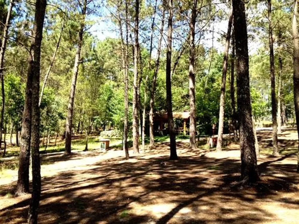 Camping site Lima Escape (Entre-ambos-os-rios)