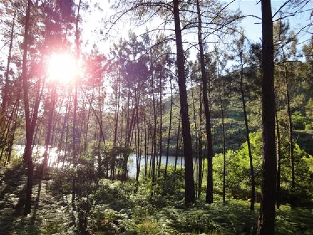 Camping site Lima Escape (Entre-ambos-os-rios)