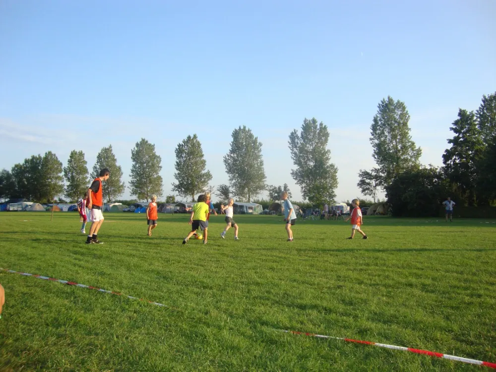 Camping De Wielewaal