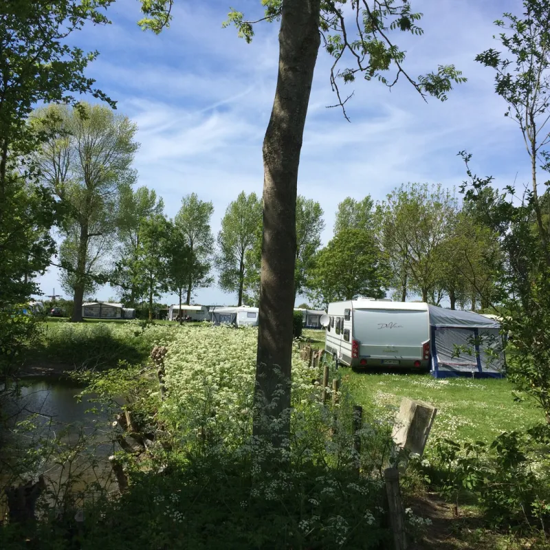 Camping De Wielewaal
