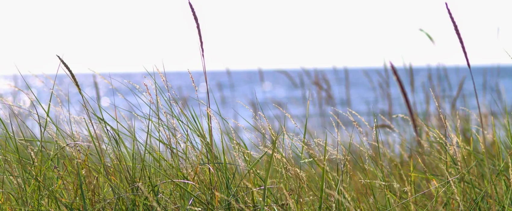 Ljugarns Semesterby & Camping