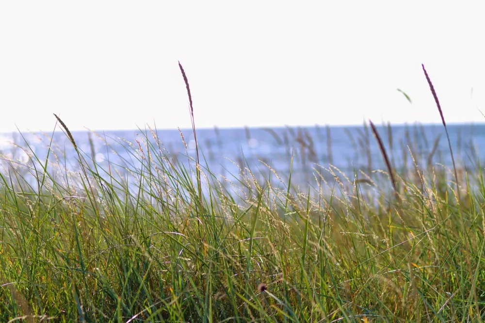 Ljugarns Semesterby & Camping