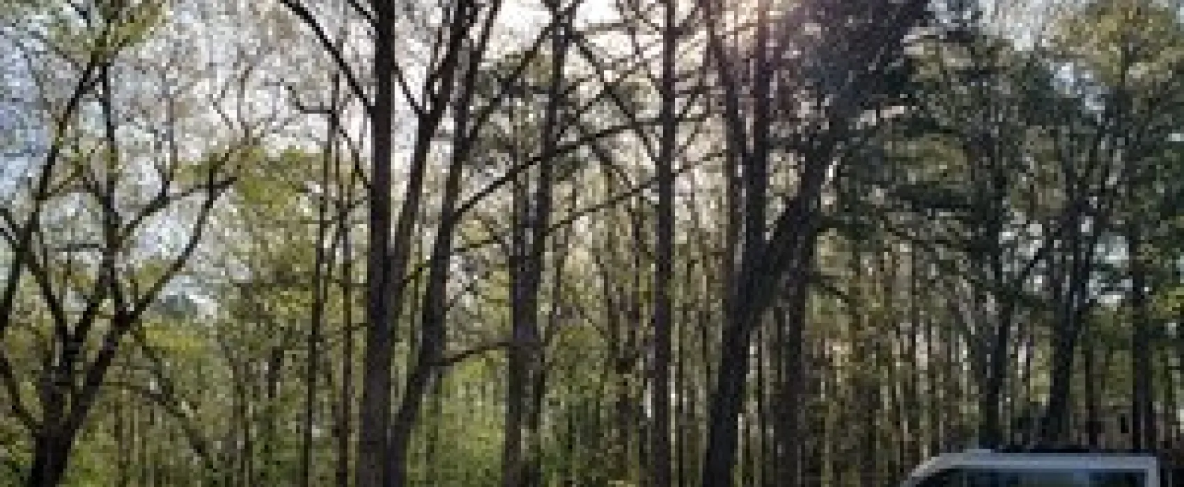 Tall Pines Campground