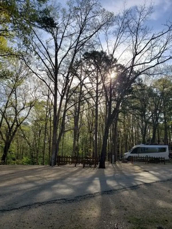 Tall Pines Campground