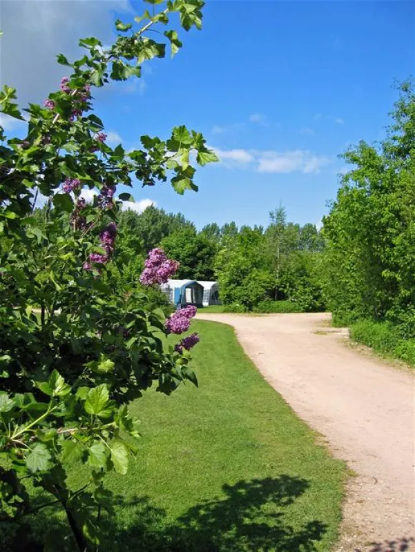 Parkcamping De Graafschap