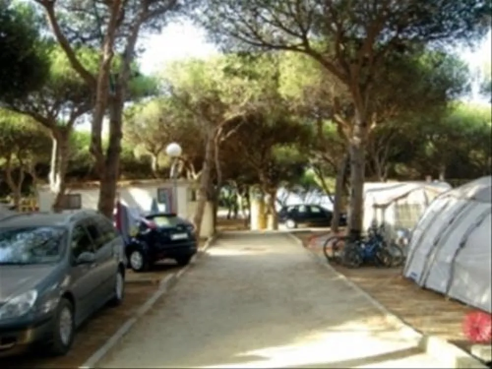 Camping Tarifa