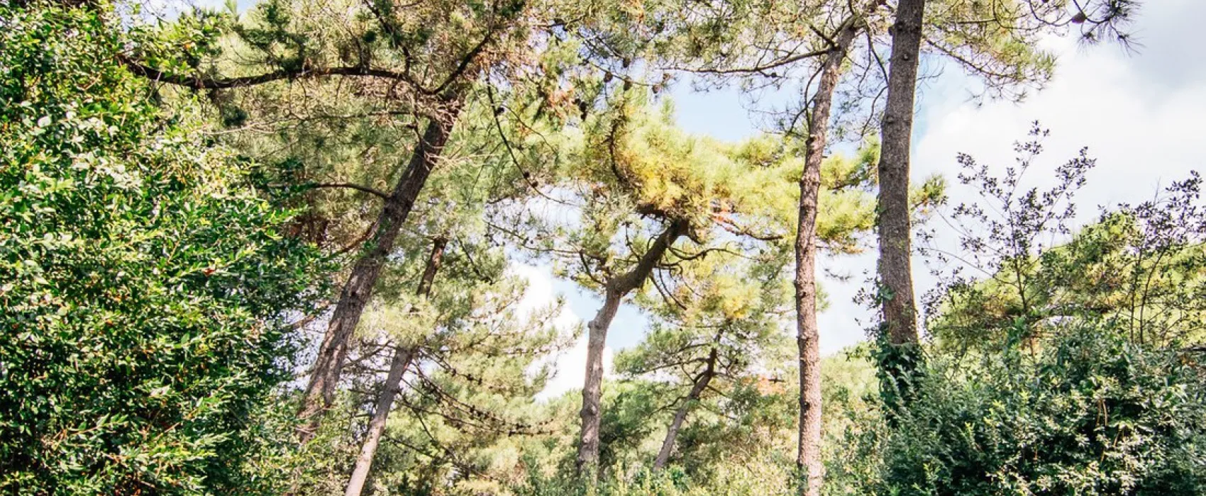 Campeggio Casa di Caccia