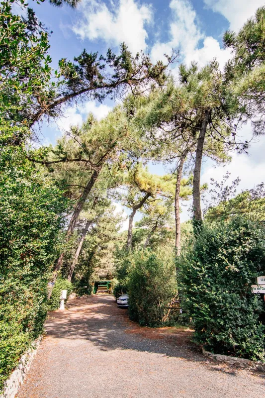 Campeggio Casa di Caccia