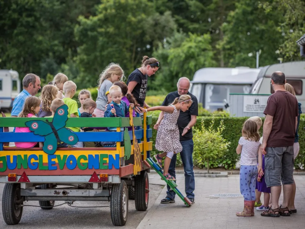 DCU Camping Viborg Sø