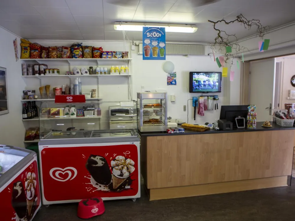 DCU Camping Viborg Sø