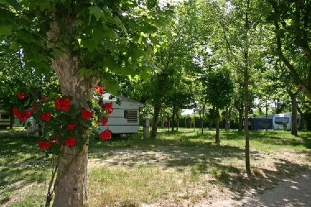 Camping Bungalow Village Delle Rose