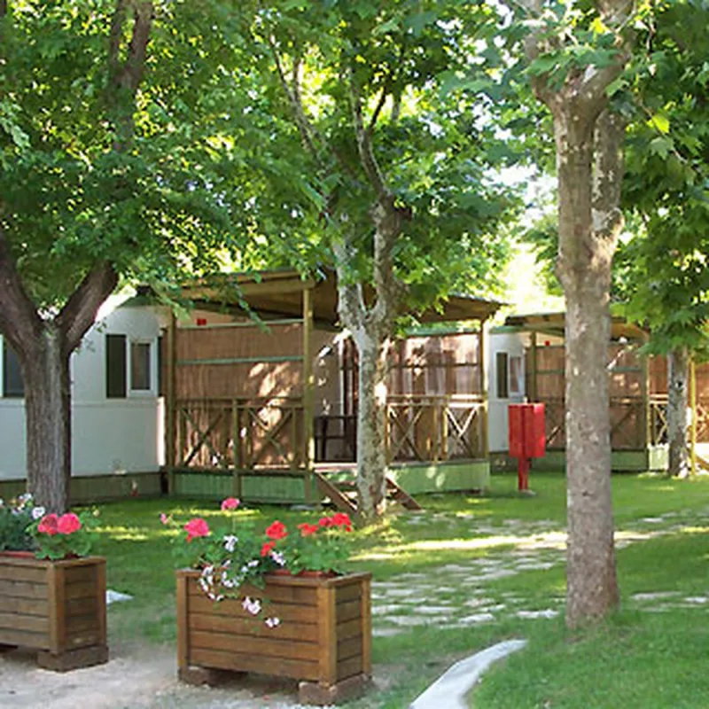 Camping Bungalow Village Delle Rose