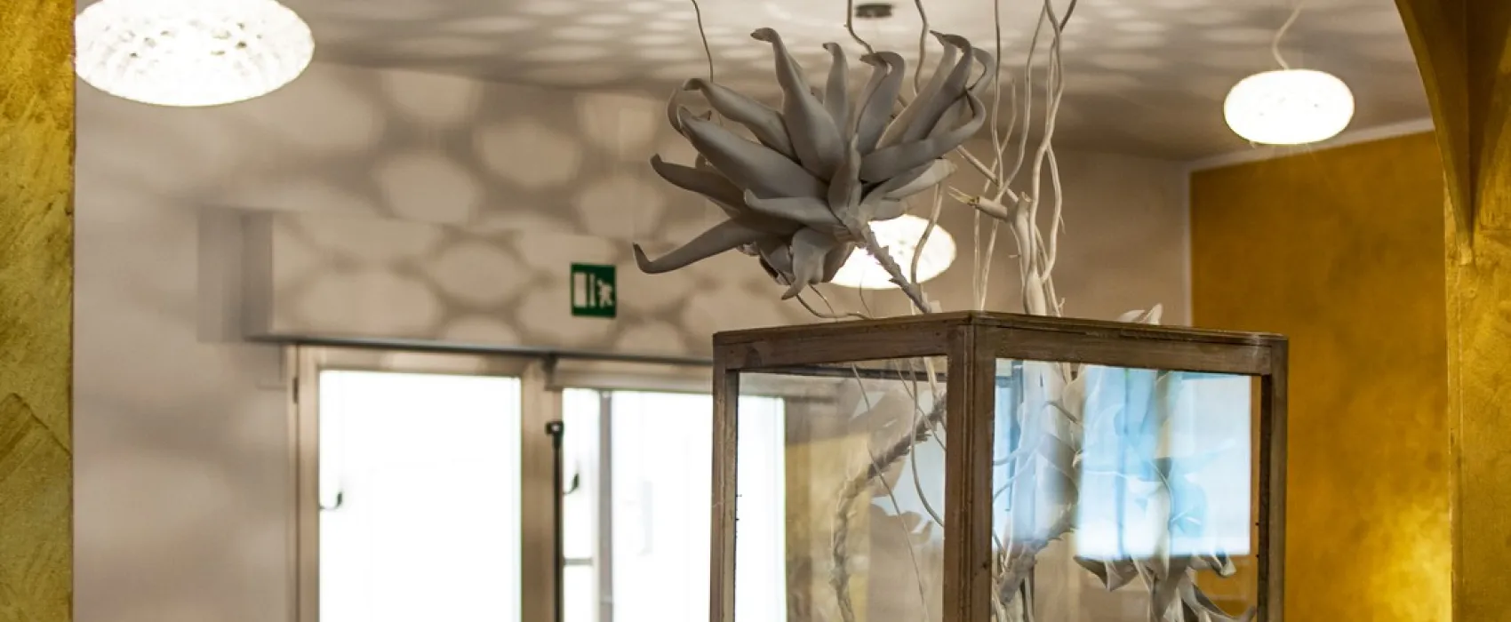 Camping Bungalow Village Delle Rose