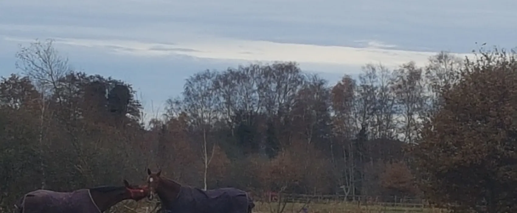 Freizeit- und Campingpark Tespe