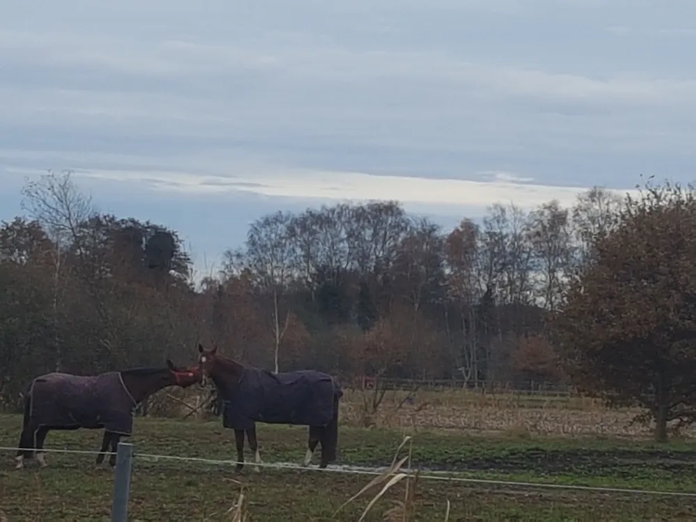 Freizeit- und Campingpark Tespe