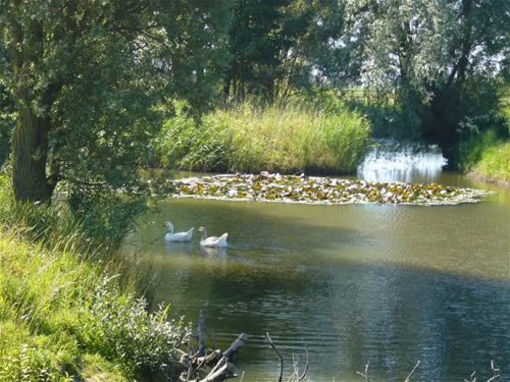 Fairfields Farm Caravan and Camping Park