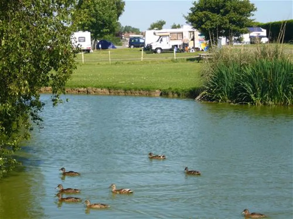 Fairfields Farm Caravan and Camping Park