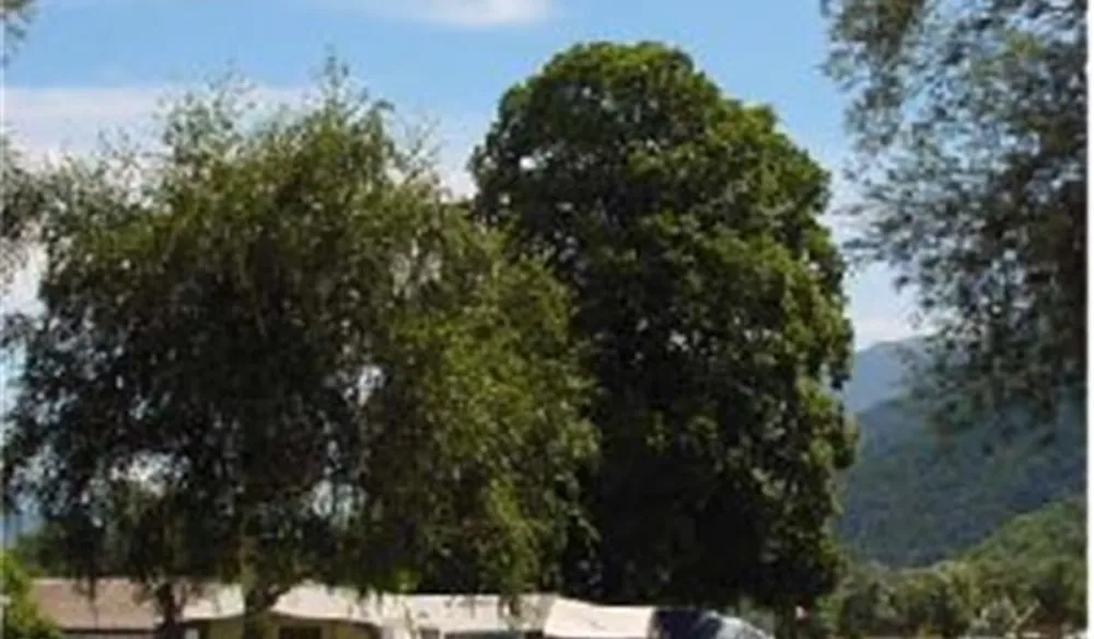 Camping Santa Monica