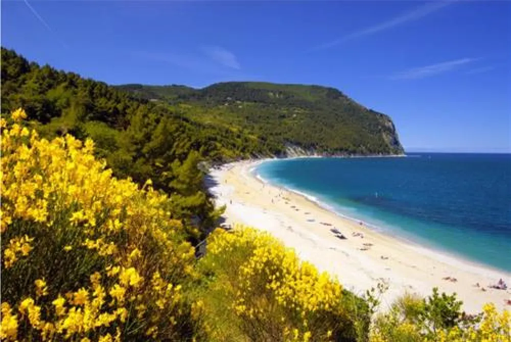 Camping Internazionale