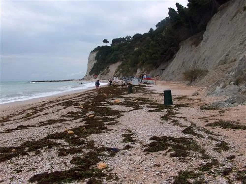 Camping Internazionale