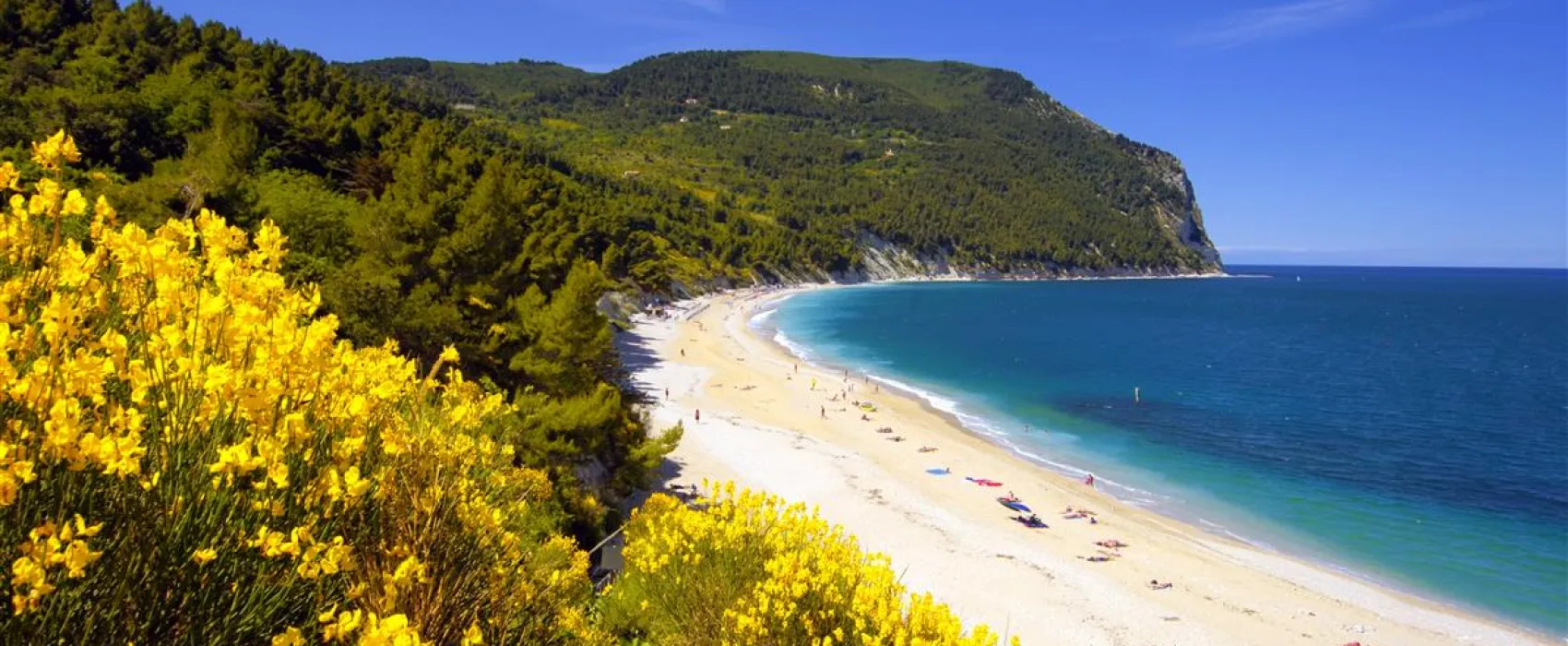 Camping Internazionale