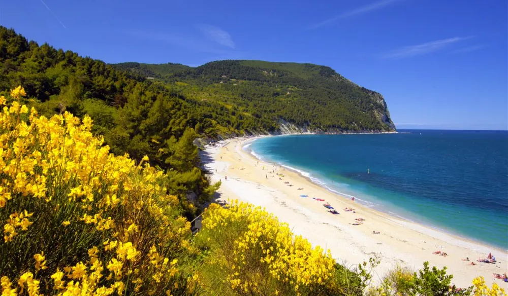 Camping Internazionale