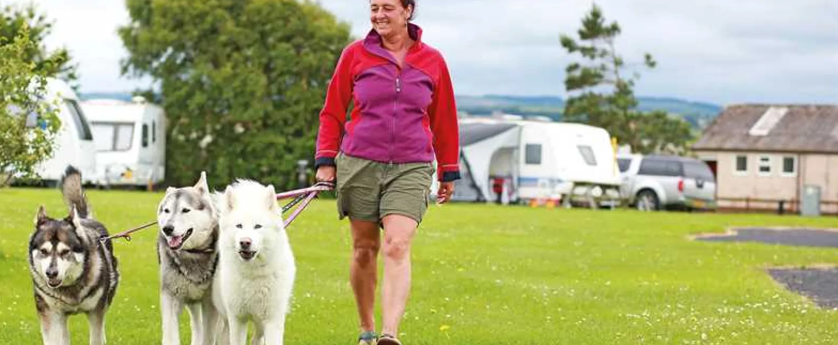 Lyons Manor House Park