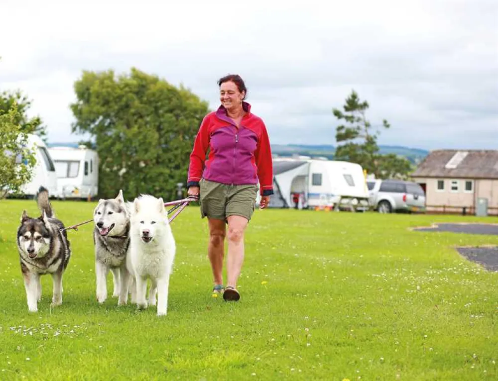 Lyons Manor House Park