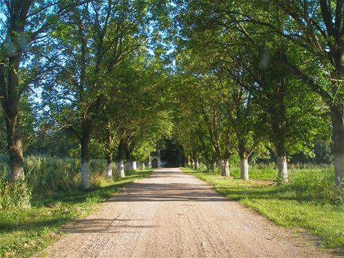 Campsite Mir photo 4