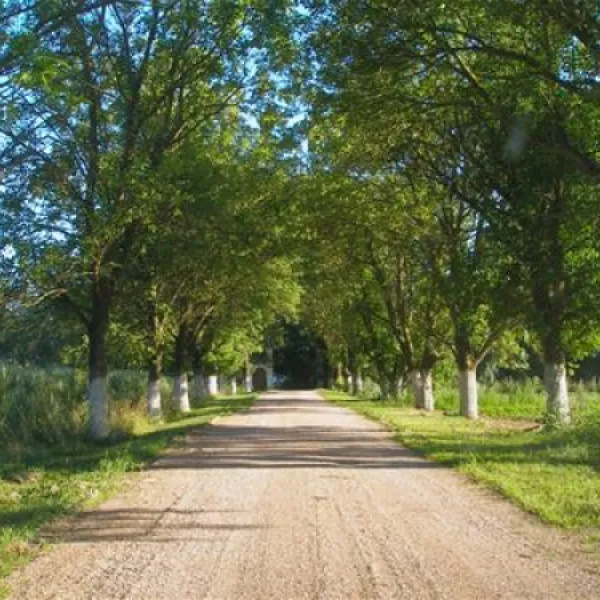 Campsite Mir