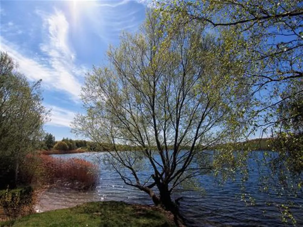 Camping am Kulkwitzer See