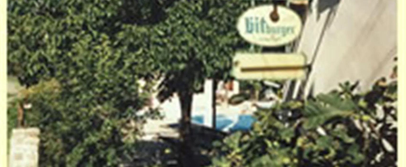 Camping aire naturelle de Gubert David