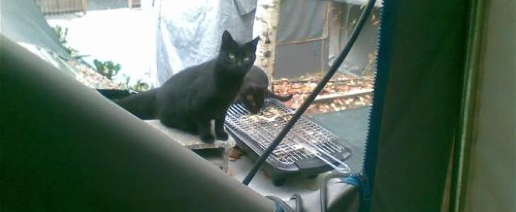 Parque de Campismo Municipal de Vouzela