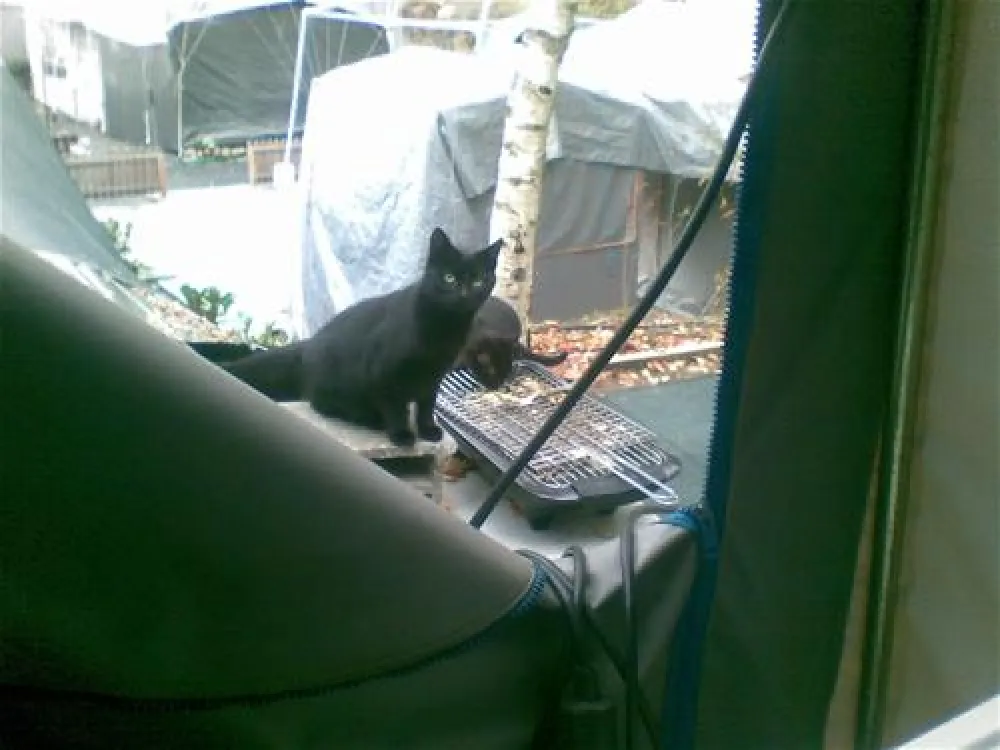 Parque de Campismo Municipal de Vouzela