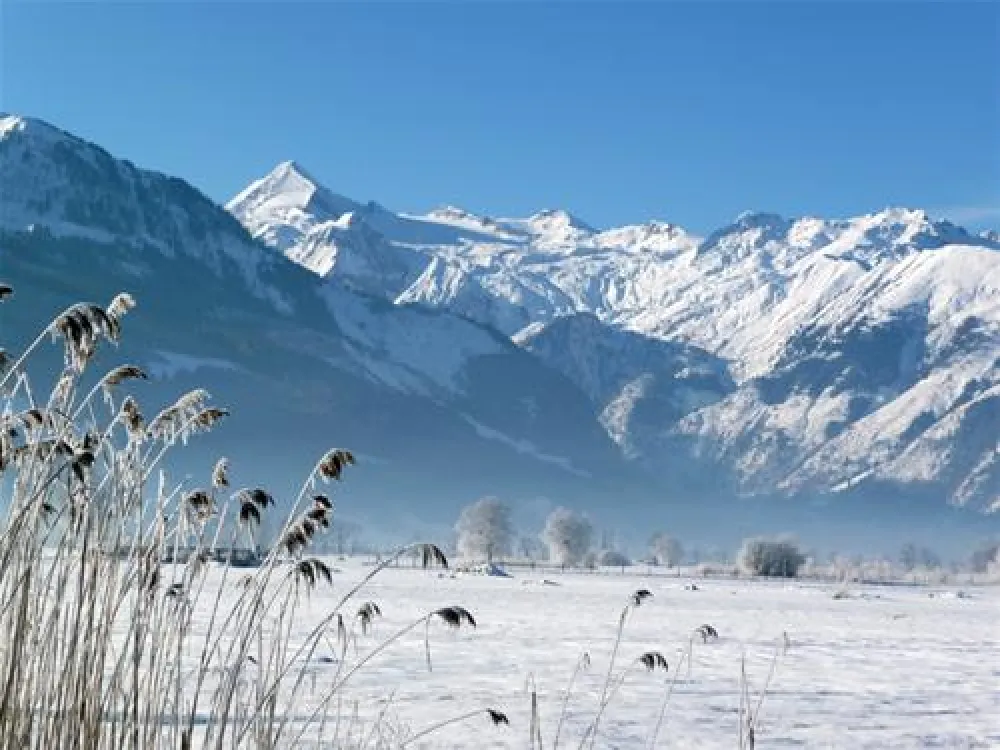 Panorama Camp Zell am See