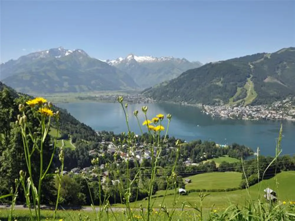 Panorama Camp Zell am See