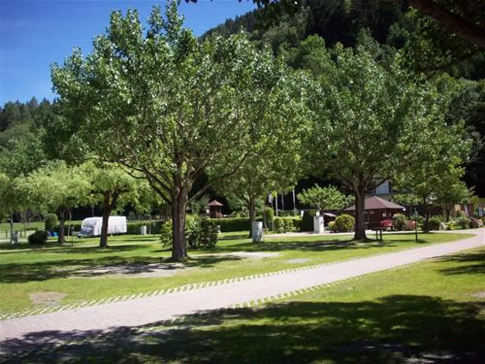 Panorama Camp Zell am See