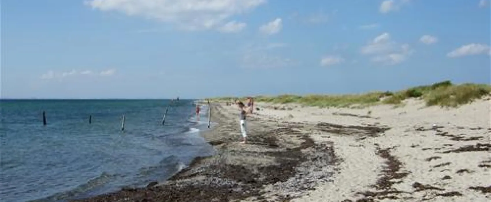 Albuen Strand Camping