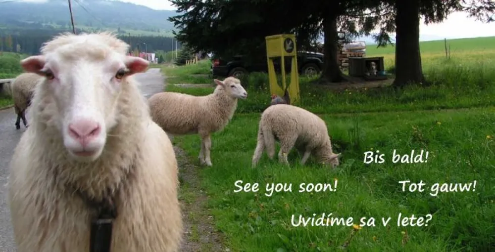 Camping Sedliacky Dvor