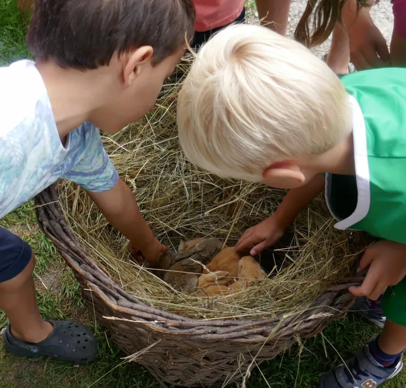 Camping Sedliacky Dvor