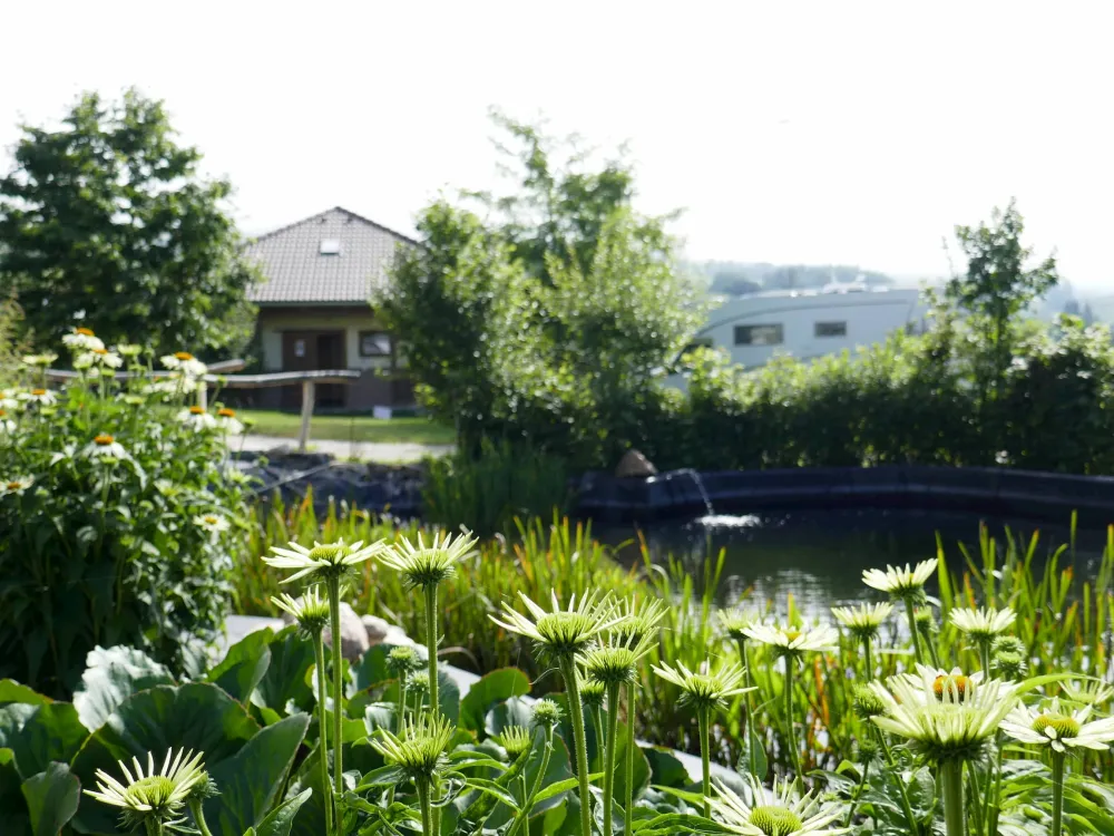 Camping Sedliacky Dvor