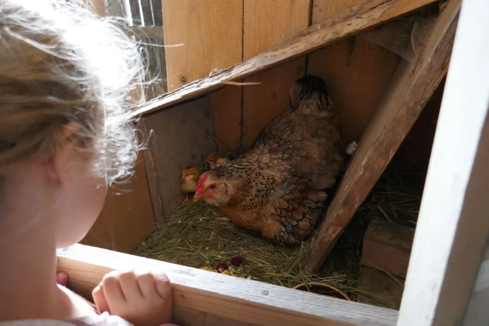 Camping Sedliacky Dvor