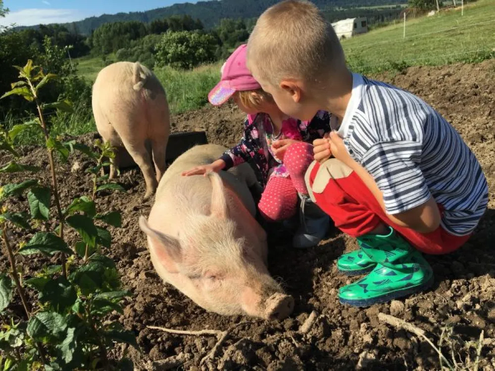 Camping Sedliacky Dvor