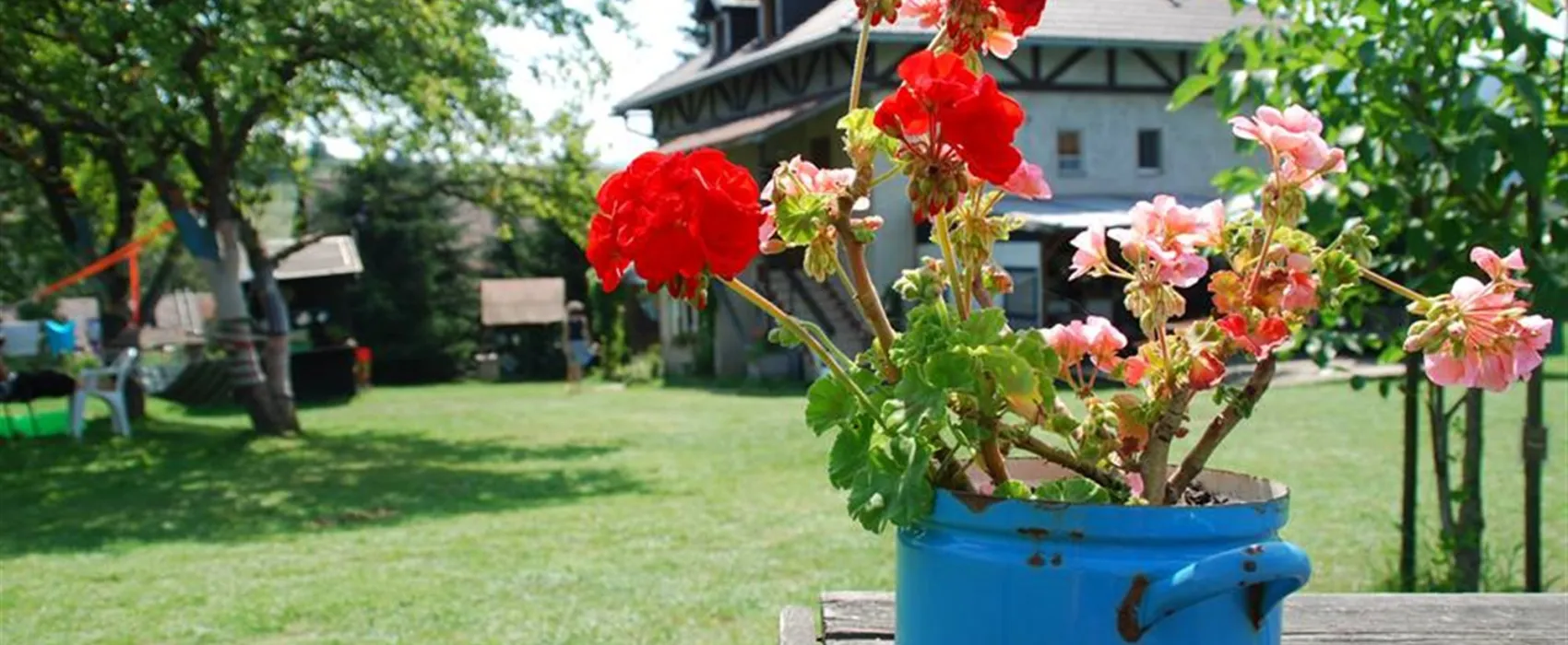 Camping Sedliacky Dvor