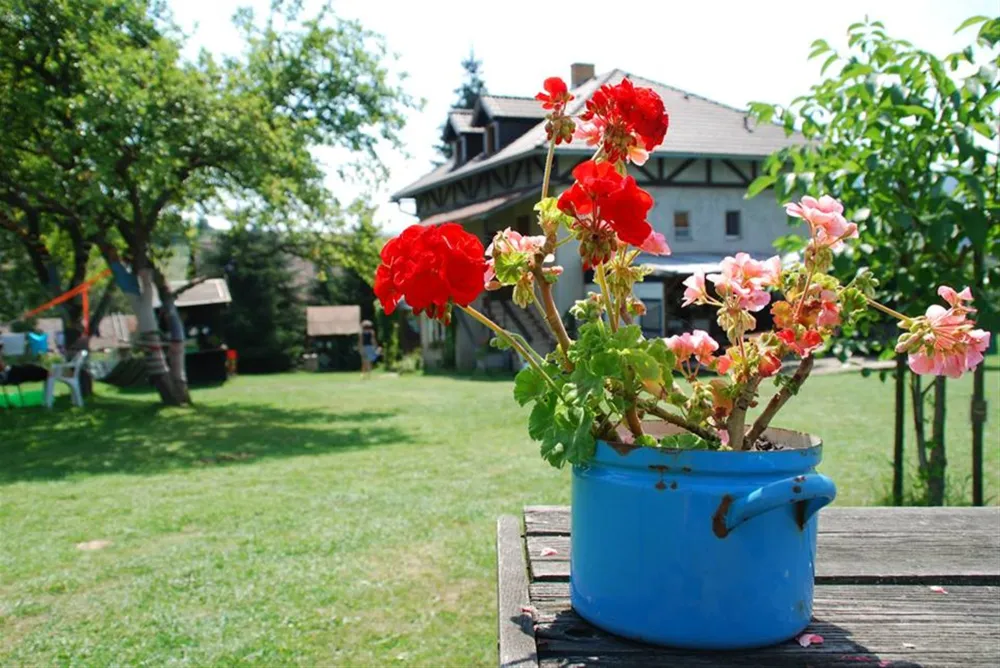 Camping Sedliacky Dvor