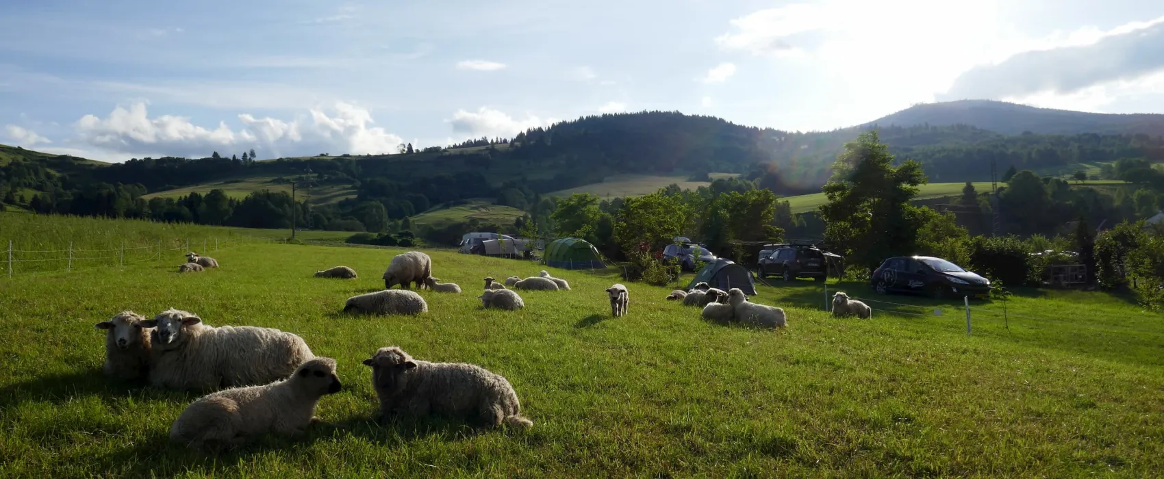 Camping Sedliacky Dvor